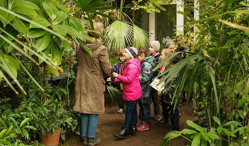 Экскурсия в Ботаническом саду —  Сборные экскурсии для школьников в Санкт-Петербурге Экскурсия в Ботаническом саду —  Сборные экскурсии для школьников в Санкт-Петербурге