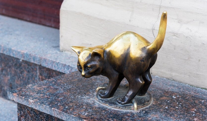 ЗаМурчательный Петербург — Музеи