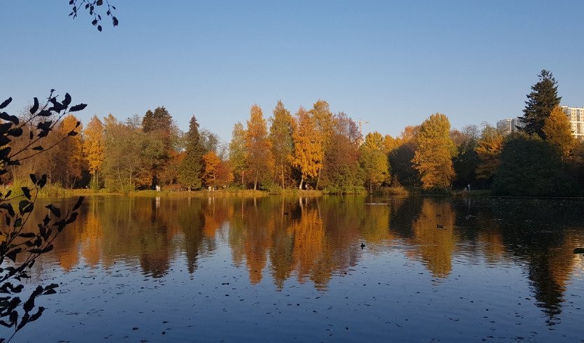 Парки старой Выборгской стороны (для заказных групп) – автобусные экскурсии для организованных групп от 450 рублей