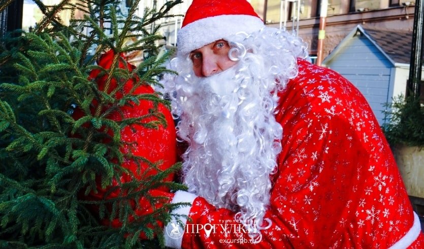 Дед Мороз – новогодние программы для школьных групп от 560 рублей