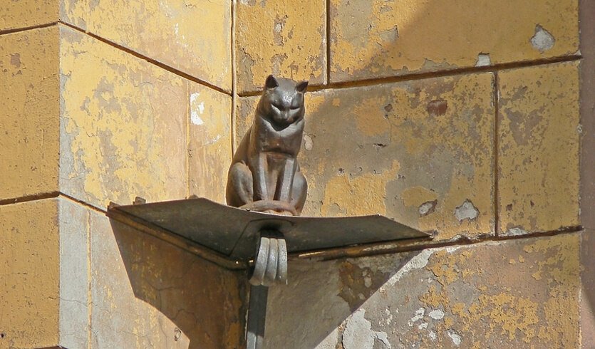 Кот Елисей. Скульптура на Малой Садовой улице – выпускные вечера для 4 класса от 1700 рублей