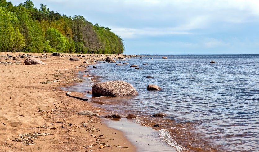 Анна Андреевна Ахматова в Комарово – Пешеходные экскурсии