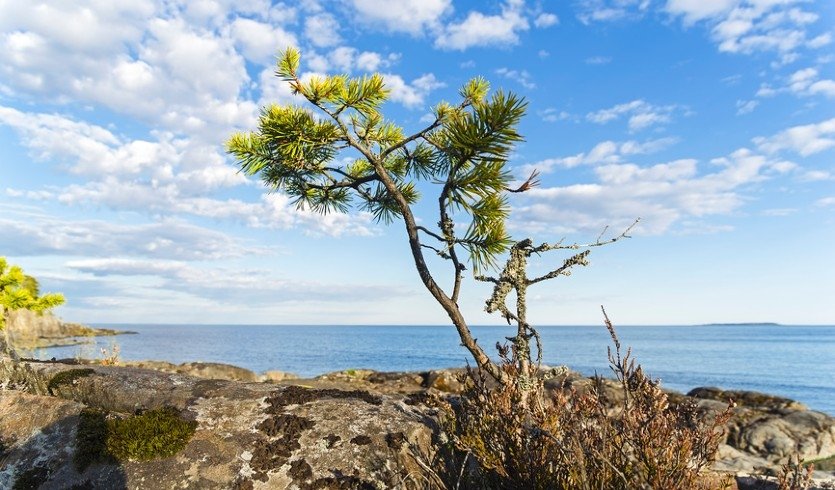 Великолепные выходные на Ладоге – Сборные туры в Санкт-Петербург