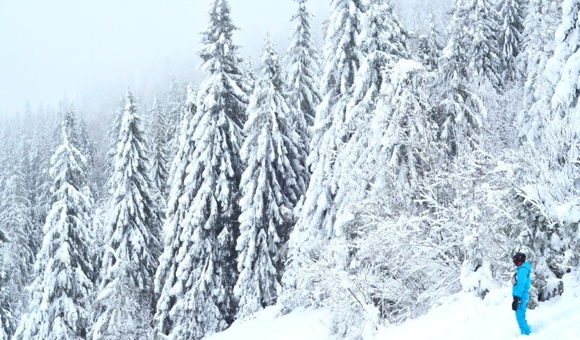 Зимняя сказка: активный новогодний корпоратив – новогодние корпоративы от 7800 рублей