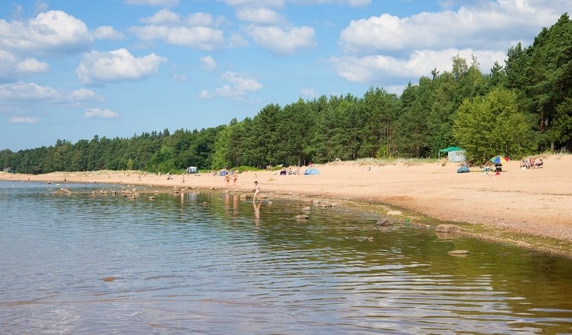 Анна Андреевна Ахматова в Комарово (для заказных групп) – пешеходные экскурсии для заказных групп от 390 рублей