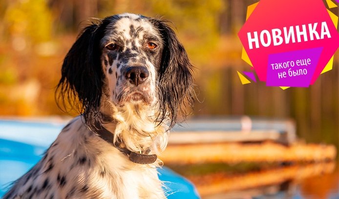 Аромолекция «На службе у императора» – лекции в Санкт-Петербурге от 3850 рублей