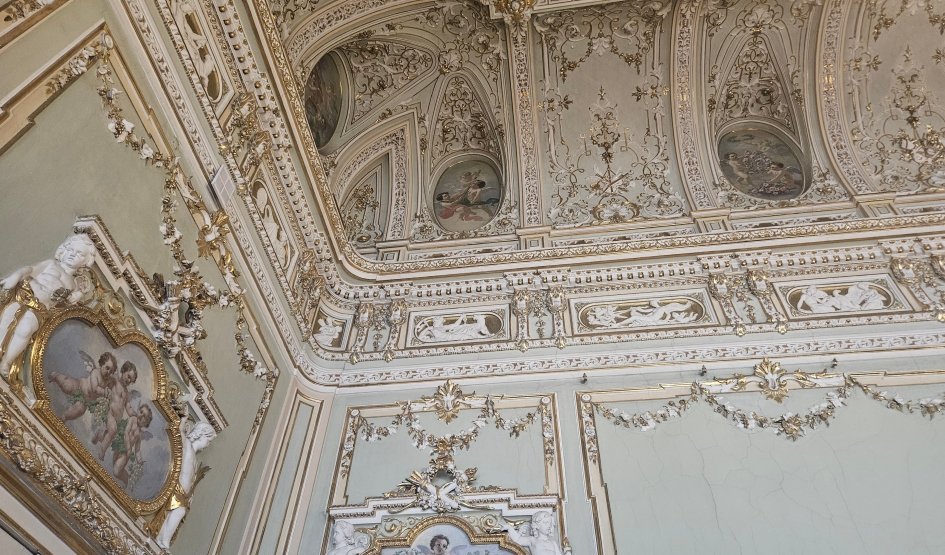 Ново-Михайловский дворец 