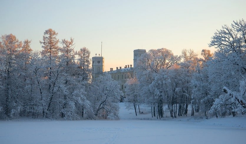 Гатчинский дворец – новогодние программы для школьных групп от 1190 рублей