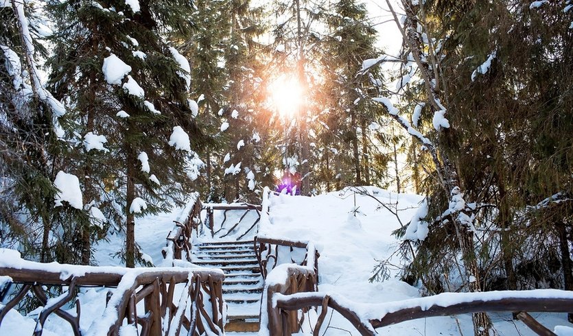 Гран-тур Вся Карелия + Водопады – туры в Карелию от 19750 рублей