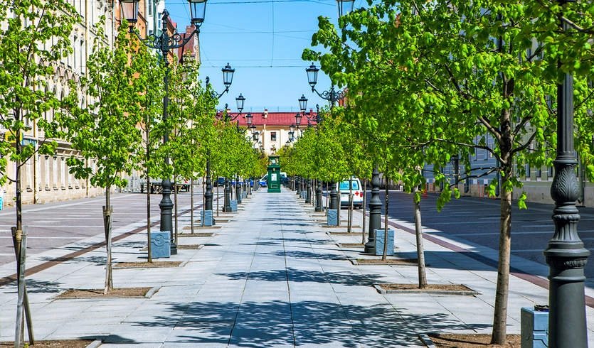 Финский Петербург — автобусная экскурсия от 990 руб.