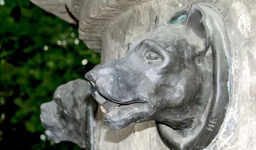 Институт Экспериментальной Медицины: музей и библиотека (для школьных групп) – экскурсии и программы для детей от 900 рублей