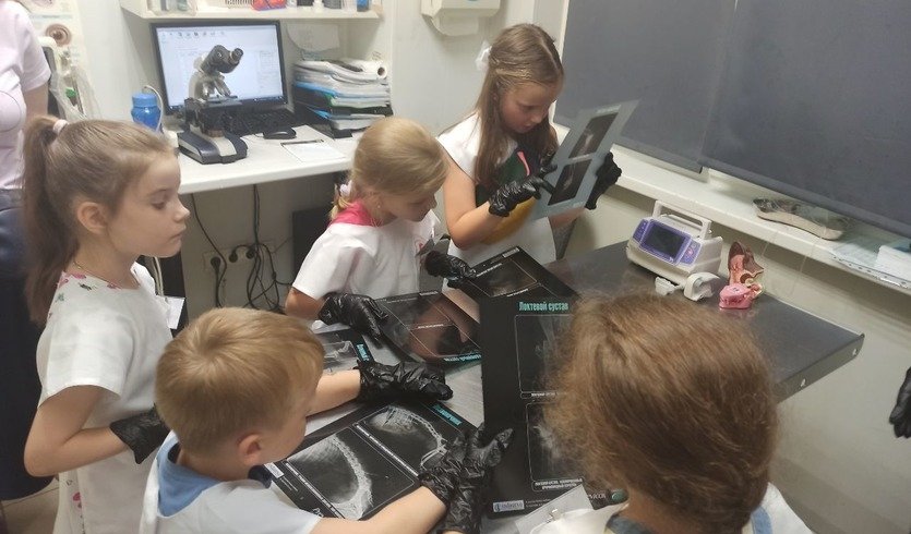 «Юный ветеринар» (интерактивная экскурсия) — сборные экскурсии, мастер-классы, квесты для школьников в Санкт-Петербурге от 1200 рублей