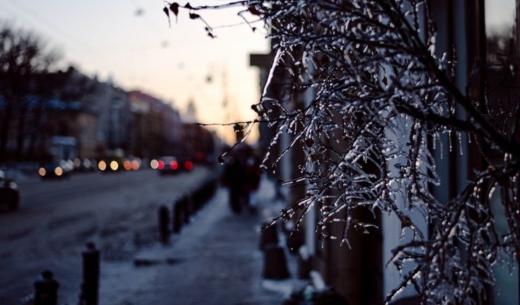 Рождественский Петербург (для школьных групп) – экскурсии и программы для детей от 500 рублей