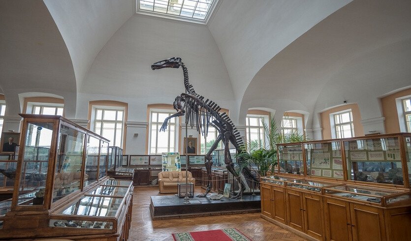 Центральный научно-исследовательский геологоразведочный музей им. Ф. Н. Чернышева — Музеи