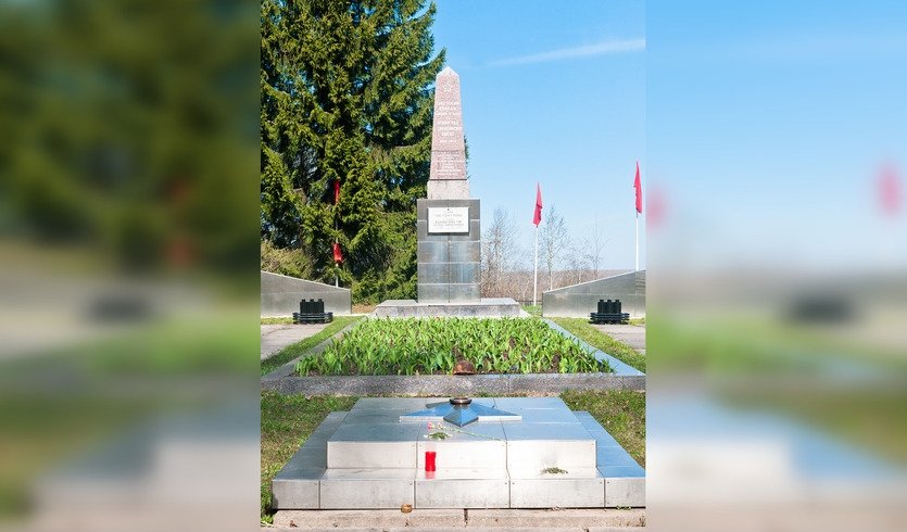 Битва за Ленинград – Проклятые Синявинские высоты — Автобусные загородные