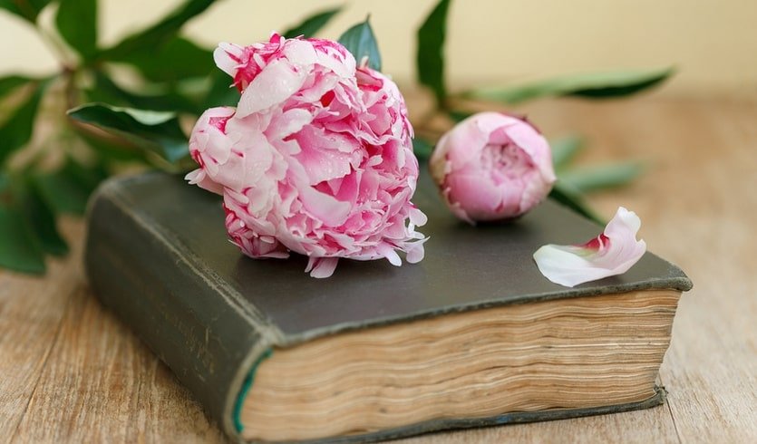 Серебряная нить Серебряного века (для школьников) – экскурсии и программы для детей от 240 рублей