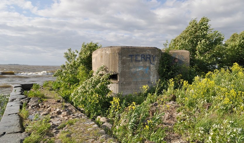 Форт Красная горка и Кронштадт: на страже морских границ России — Экскурсии для организованных групп от 1300 рублей