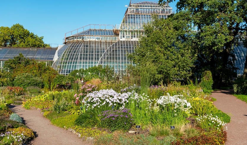 Ботанический сад Петра Великого (для школьных групп) — экскурсии и программы для детей от 360 рублей