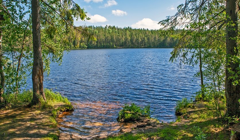 Военный Выборг: от замка до линии Маннергейма (с посещением военного музея Карельского перешейка) (для заказных групп) — Экскурсии для организованных групп