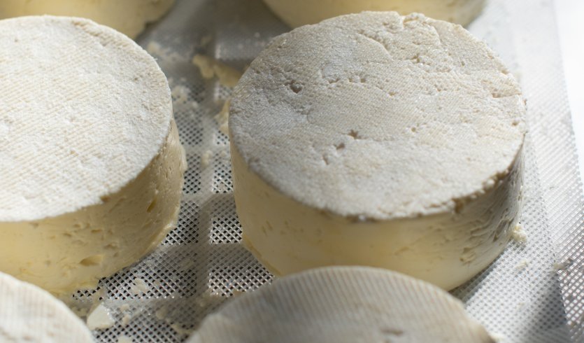 Сыр – загородные экскурсии от 3300 рублей Сыр – загородные экскурсии от 3300 рублей