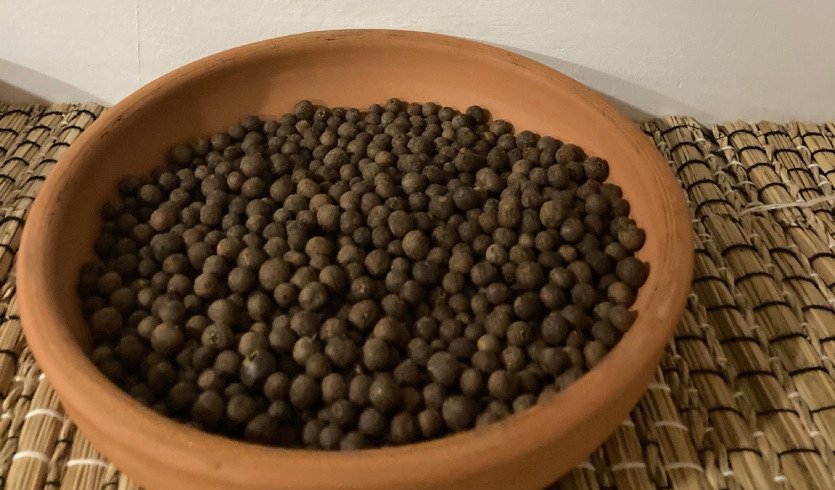 Игра-квест «Тайны пряных островов» (Музей специй) – сборные экскурсии для школьников в Санкт-Петербурге Игра-квест «Тайны пряных островов» (Музей специй) – сборные экскурсии для школьников в Санкт-Петербурге