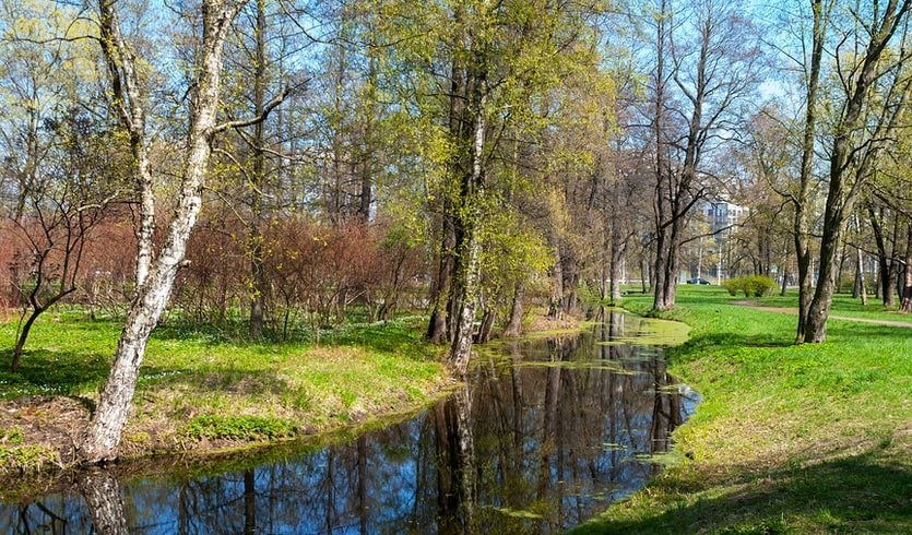 Прогулка на трамвае от Автово в Сосновую Поляну – Пешеходные экскурсии