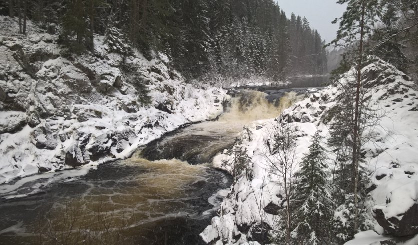 Царский Новый год в Карелии — туры в Карелию от 32550 руб.