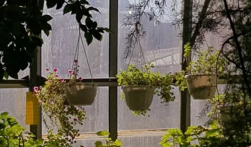 Ботанический сад Петра Великого — Музеи