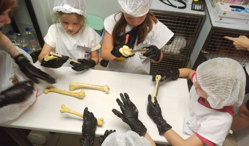 «Юный ветеринар» (интерактивная экскурсия) — сборные экскурсии, мастер-классы, квесты для школьников в Санкт-Петербурге от 1200 рублей