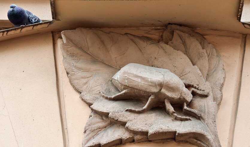 Школа Карла Мая — Фото № 2 — Фотобанк Лори / Александр Алексеев Школа Карла Мая — Музеи