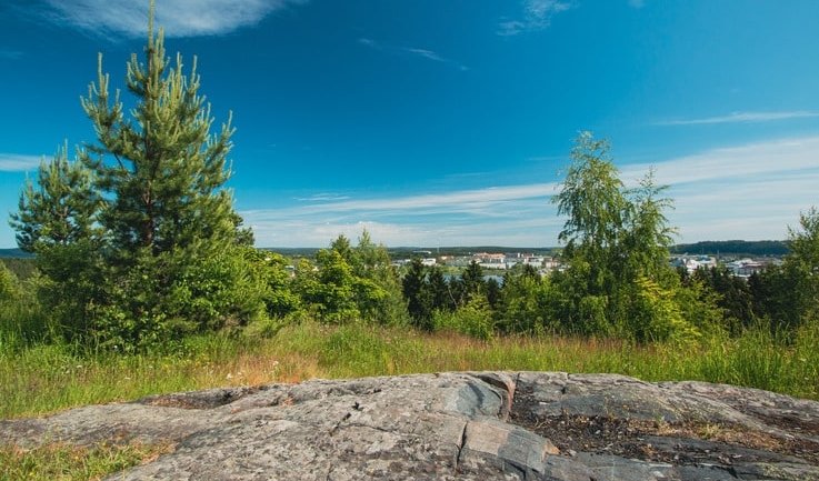 Карелия – экскурсии и программы для детей от 1730 рублей