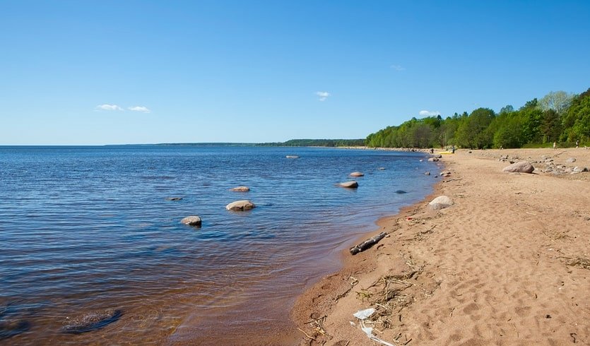 Прогулка по Комарово (для школьных групп) – экскурсии и программы для детей от 285 рублей