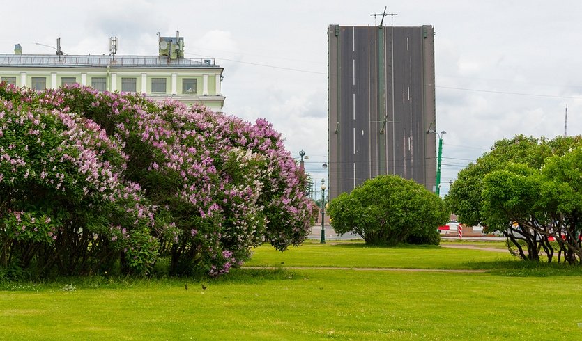 Революционный Петербург — Экскурсии для организованных групп от 450 рублей