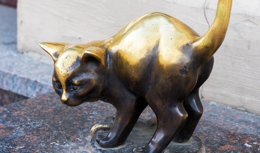 ЗаМурчательный Петербург (для школьных групп) – экскурсии и программы для детей от 975 рублей