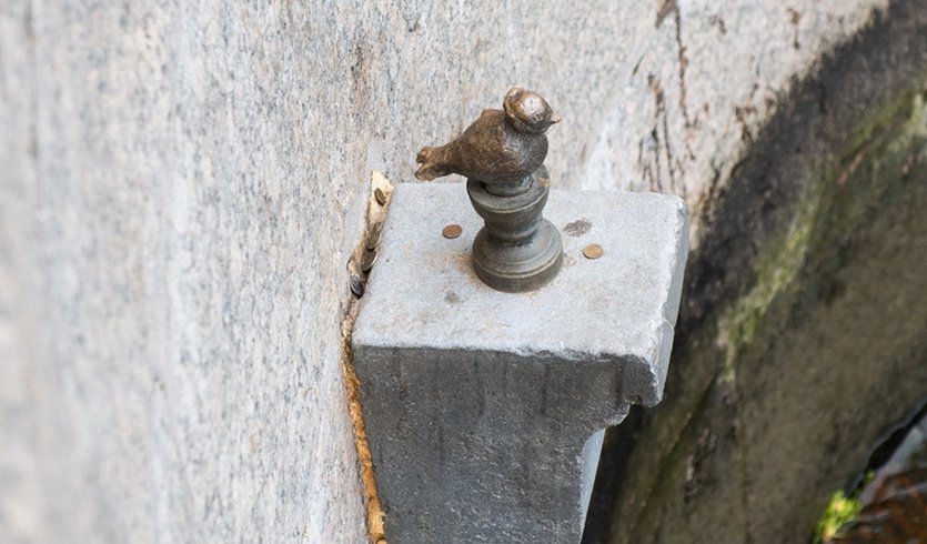 По местам исполнения желаний – автобусная экскурсия (для школьных групп) — Экскурсии для школьников в Санкт-Петербурге под заказ от 500 рублей