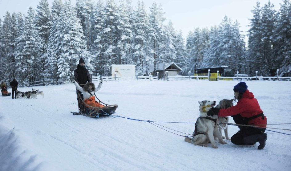 Царский Новый год в Карелии — туры в Карелию от 32550 руб.