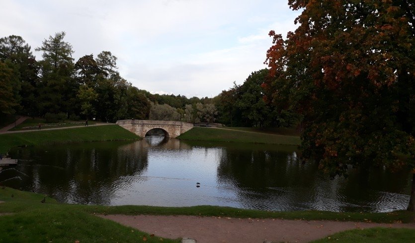 День медицинского работника «Эликсир радости» – профессиональные праздники от 8400 рублей