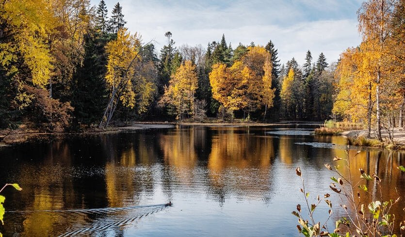 Усадьба Сергиевка и дача Бенуа — Автобусные загородные