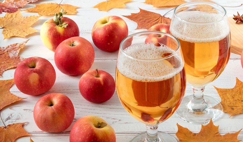 Сидр – музеи и общественные учреждения от 3200 рублей