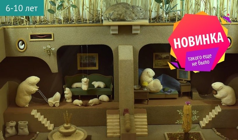 Музейное занятие «Такая удивительная земля!» (Музей почвоведения им. В.В. Докучаева) – сборные экскурсии для школьников в Санкт-Петербурге от 850 рублей