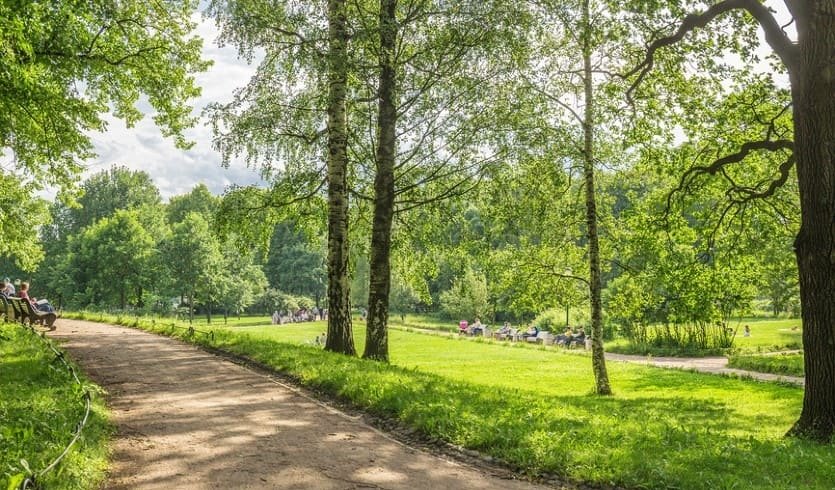 Таврический сад – пешеходные экскурсии от 1000 рублей