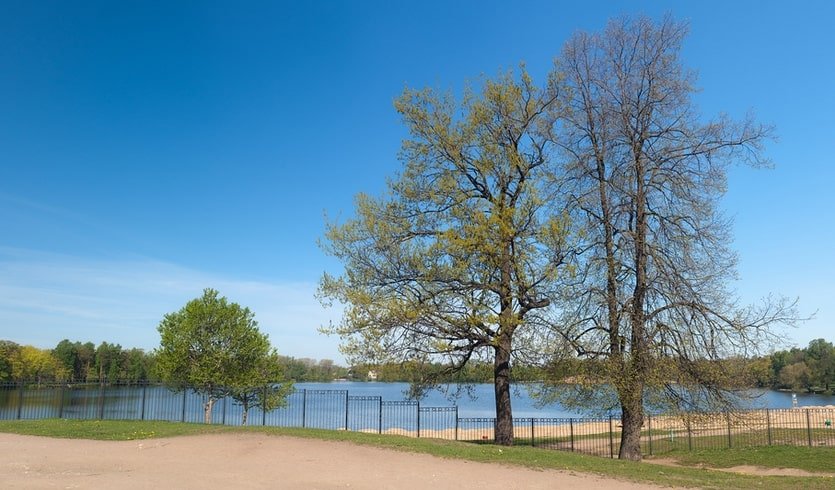 Театральная жизнь в Озерках – Пешеходные экскурсии