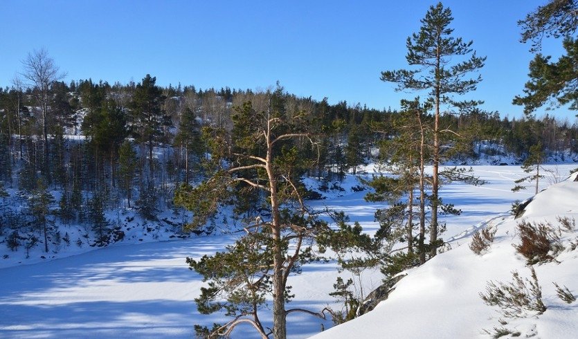 Ладожское озеро в солнечный зимний день – туры в Карелию от 24950 рублей