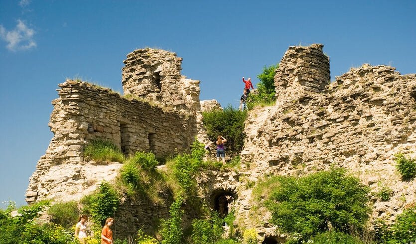 Флаг ингерманландии фото