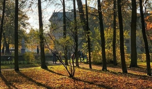 Павловский парк – пешеходные экскурсии для заказных групп от 530 рублей
