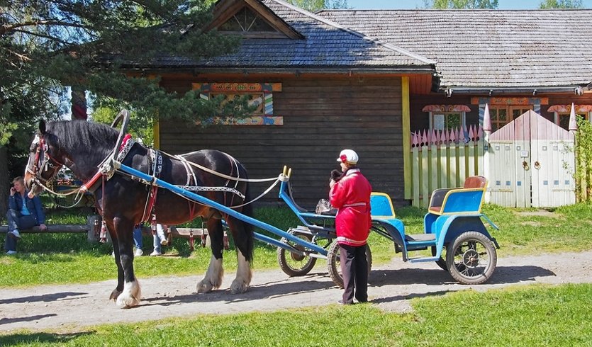 Мандроги – Туры и круизы из Петербурга от 55670 рублей