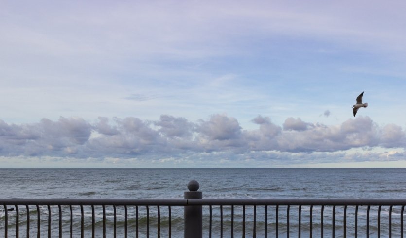 Янтарная мозаика (май-октябрь) — экскурсия по расписанию от 10000 рублей