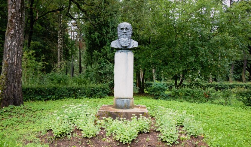 Отроги Колтушских высот (Всеволожский район Ленинградской области) (для групп) – автобусные экскурсии для организованных групп от 1750 рублей