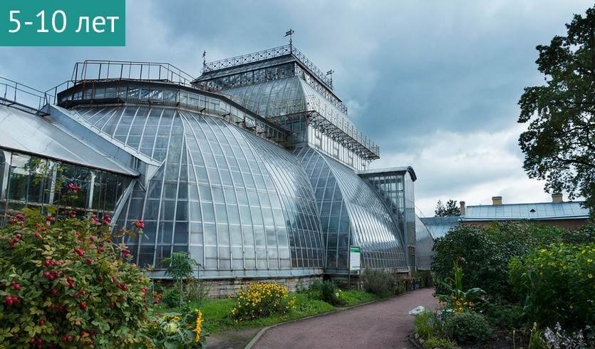 Детская игровая экскурсия «По следам невиданных зверей» (Ботанический Сад) – Сборные экскурсии для школьников в Санкт-Петербурге от 550 рублей