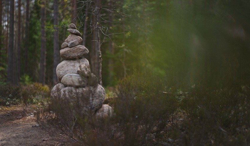 Тайпале - финский Верден — фото № 1 — Фотобанк Unsplash / Egor Myznik Тайпале - финский Верден — Автобусные загородные